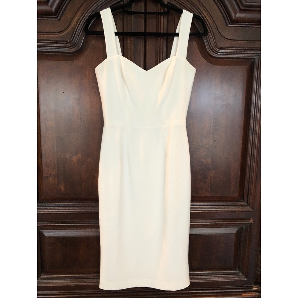 Dress the Population Nicole Dress